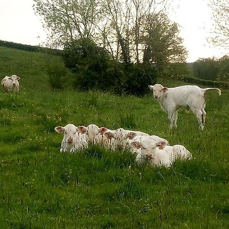 Gite A La Ferme Le Rousset 外观 照片