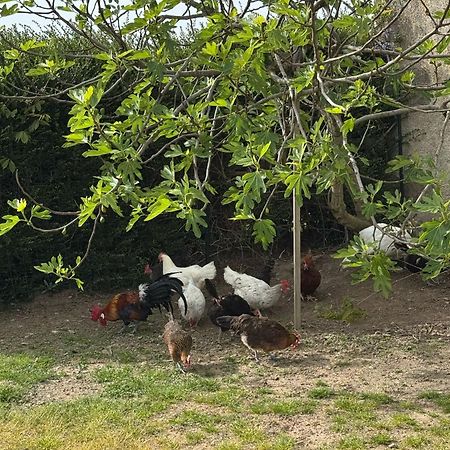 Gite A La Ferme Le Rousset 外观 照片